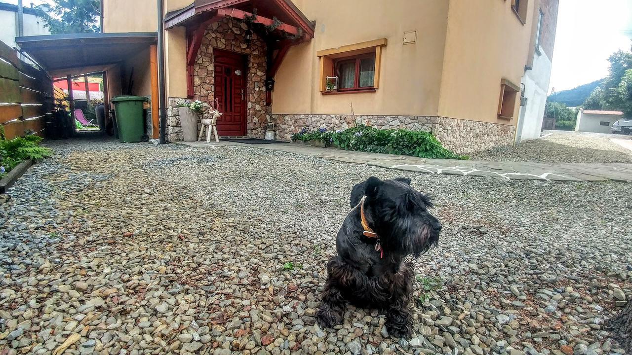 Bed and Breakfast Pod Klimczokiem I Szczyrk Exterior foto